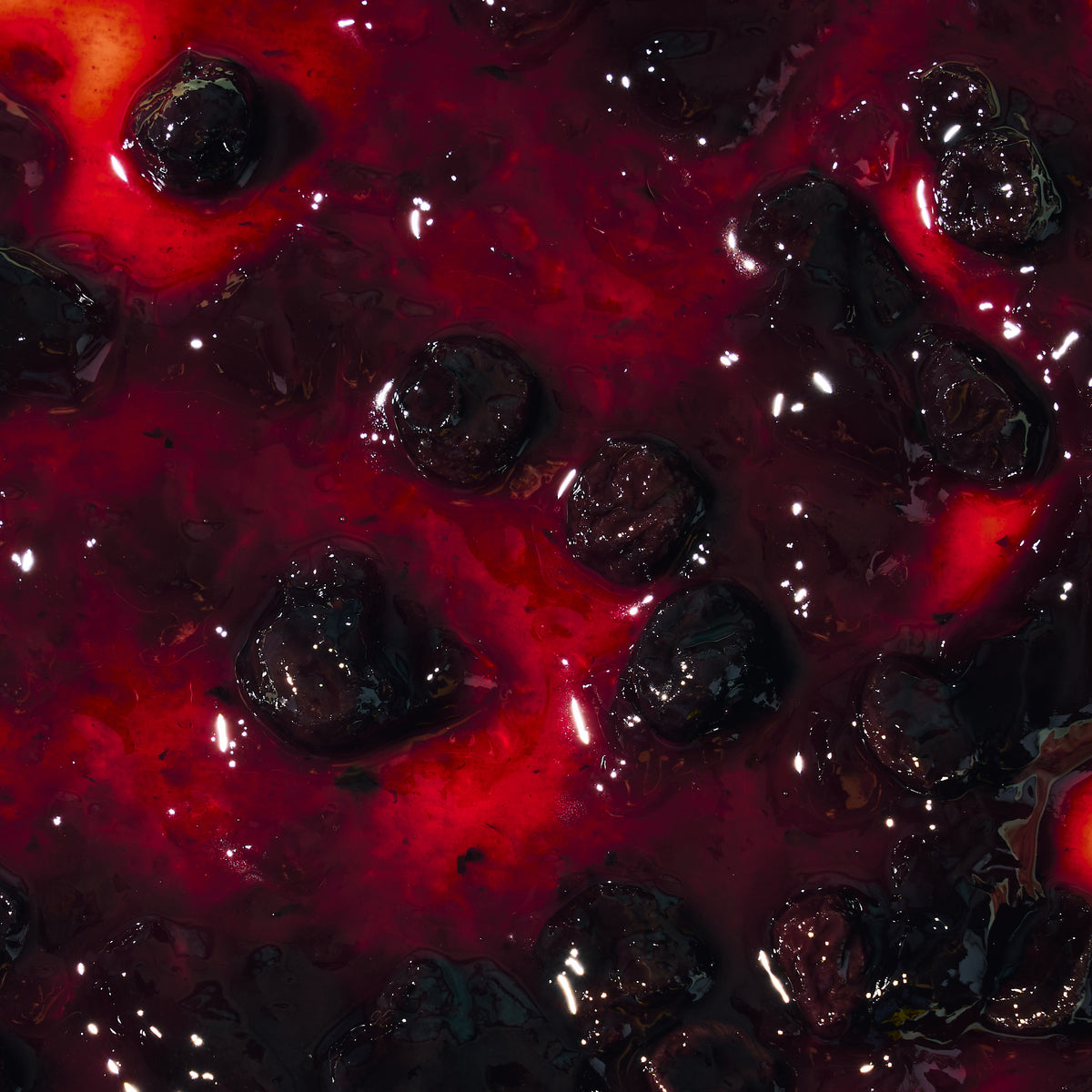 Blueberry Spicy Jam